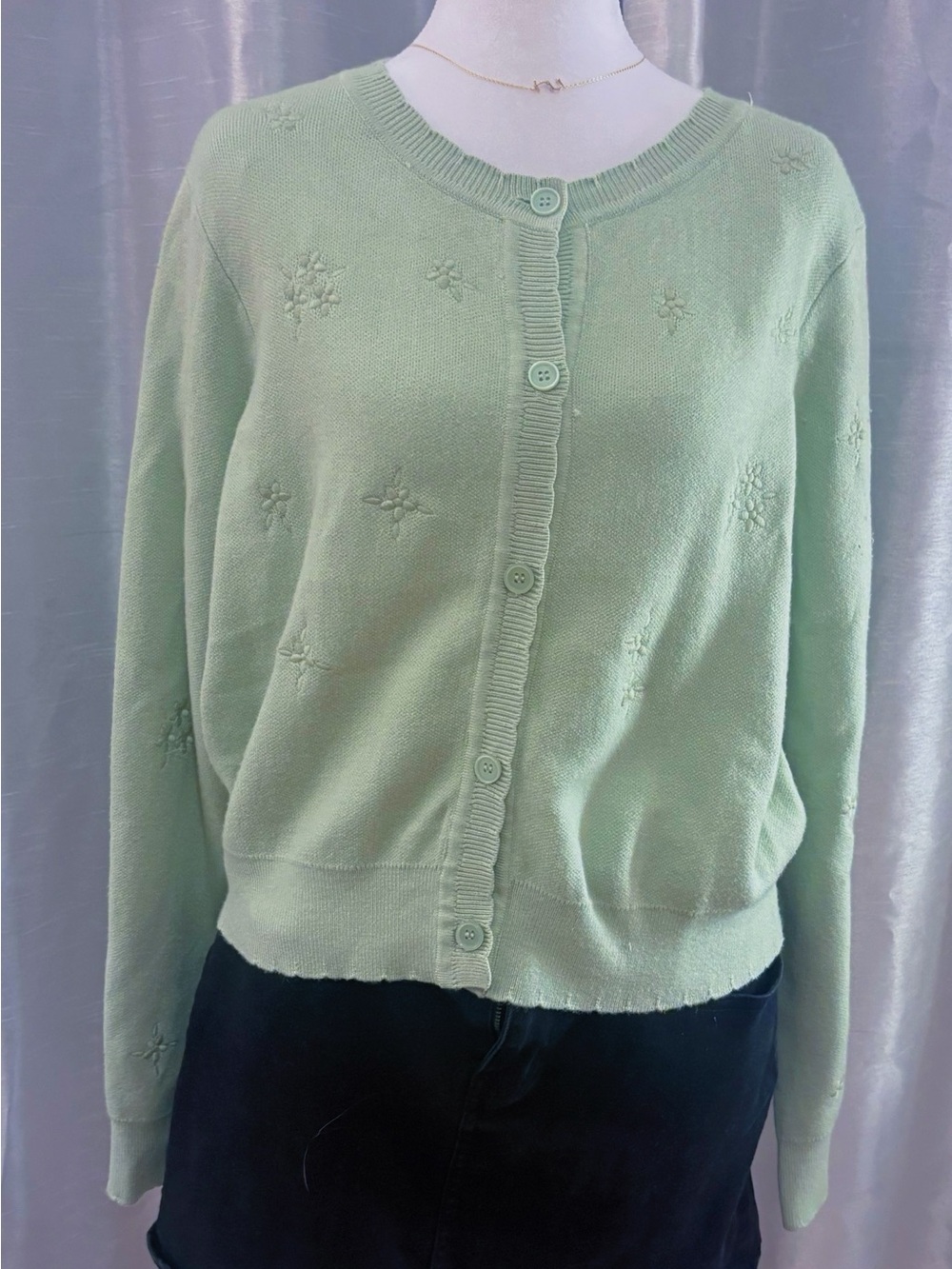 Mint Green Embroidered Button-Front Cardigan